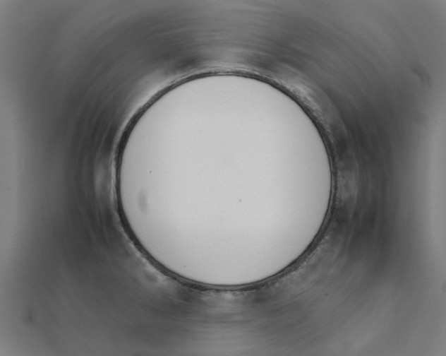 X0000111231286200907301238