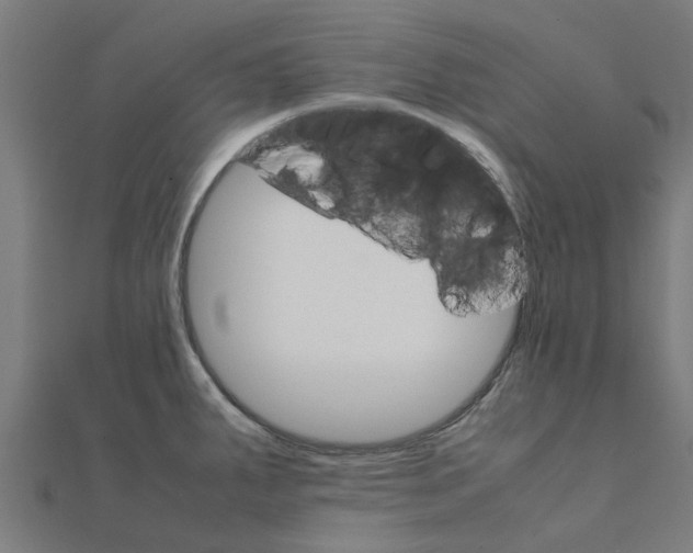 X0000111231287200907301238