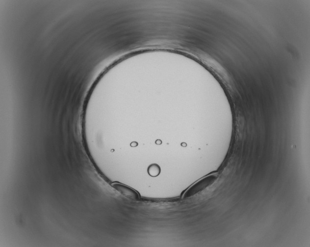 X0000111231288200907301238