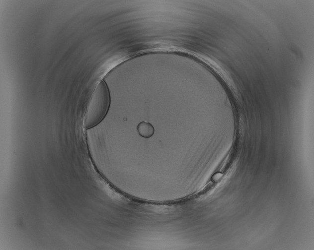 X0000111231289200907301238