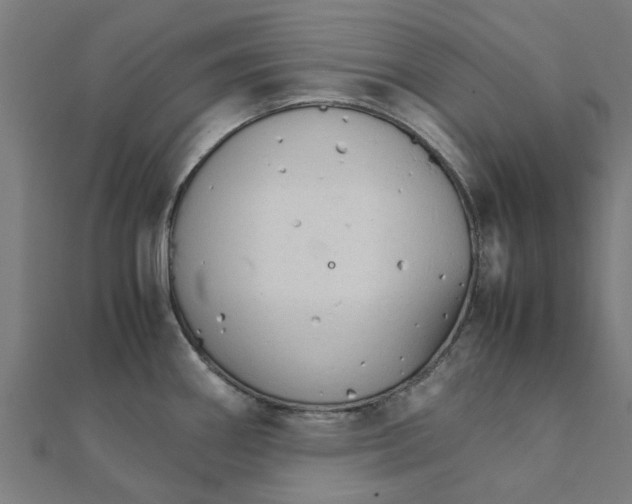 X0000111231290200907301238