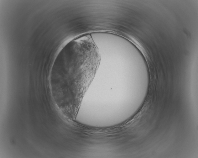 X0000111231291200907301238