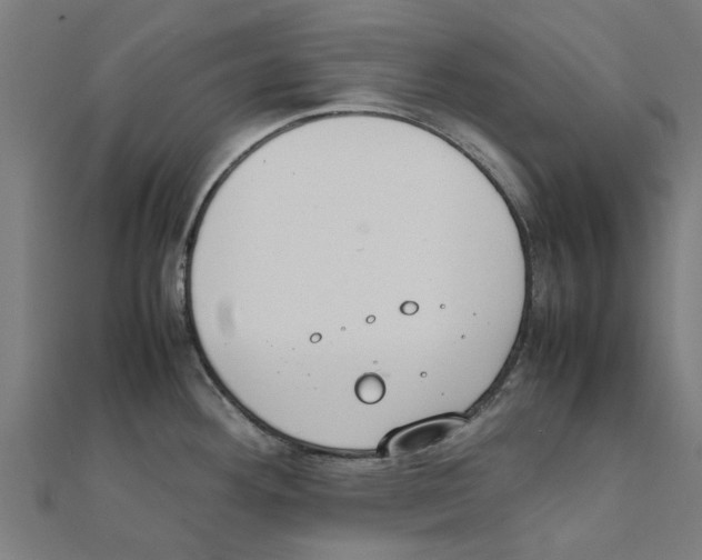 X0000111231292200907301238