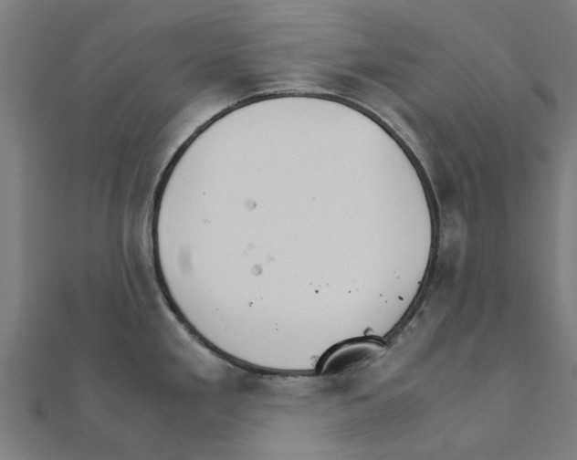 X0000111231293200907301238