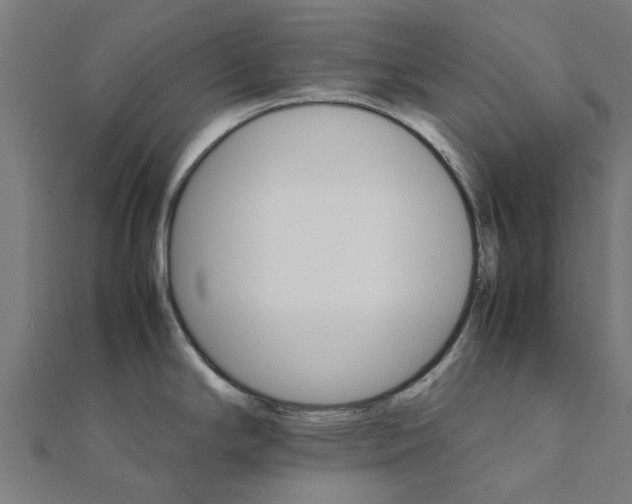 X0000111231294200907301238