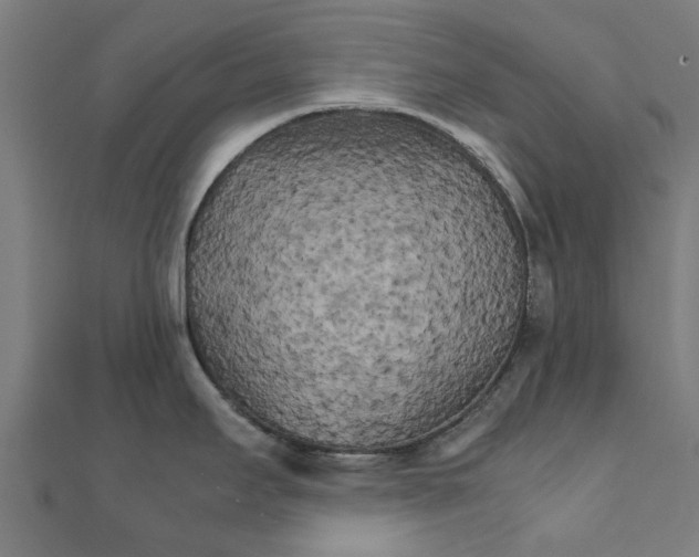 X0000111231295200907301238