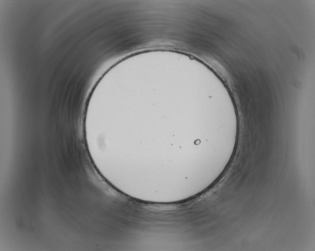 X0000111231296200907301238