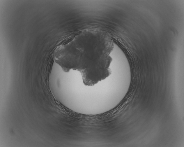 X0000111231297200907301238