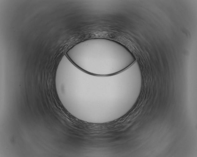 X0000111231298200907301238