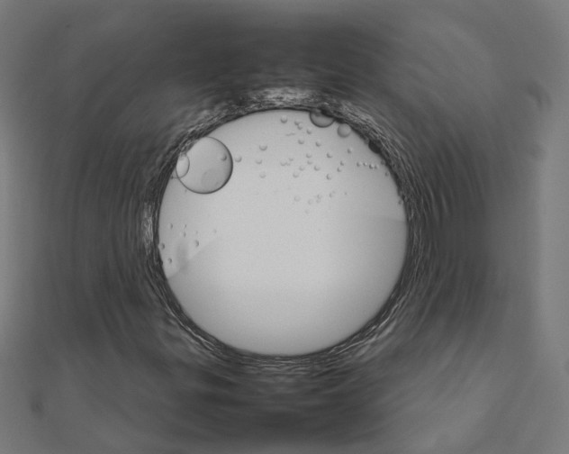 X0000111231299200907301238