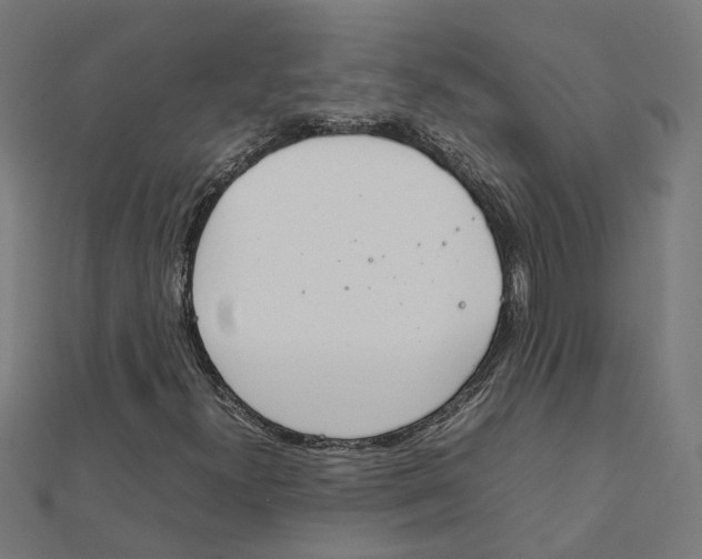 X0000111231300200907301238