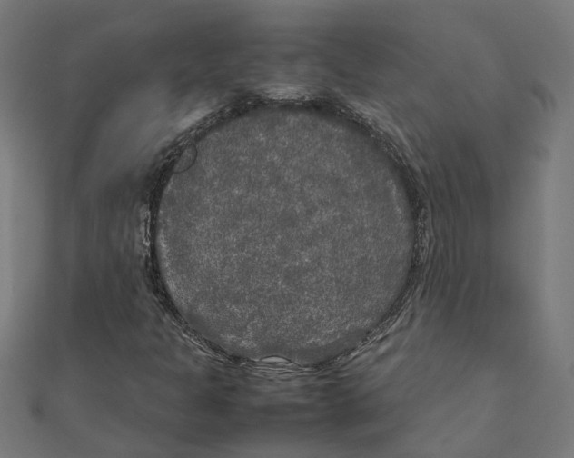 X0000111231301200907301238