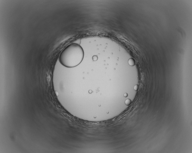 X0000111231302200907301238