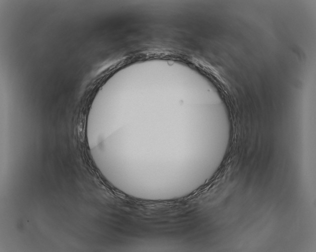 X0000111231303200907301238