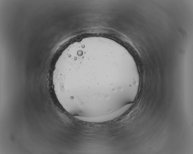 X0000111231304200907301238