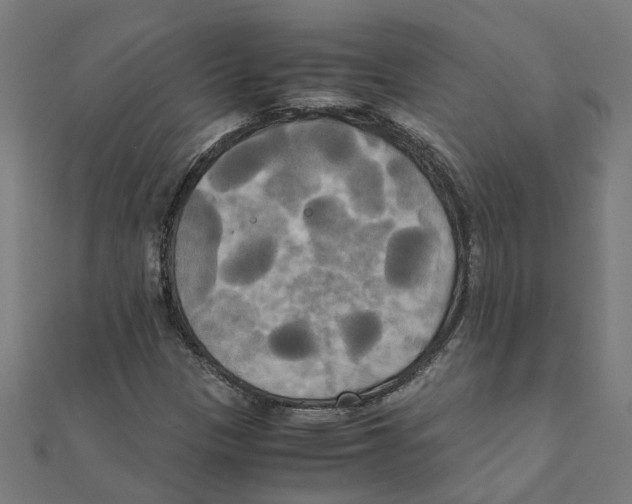 X0000111231305200907301238