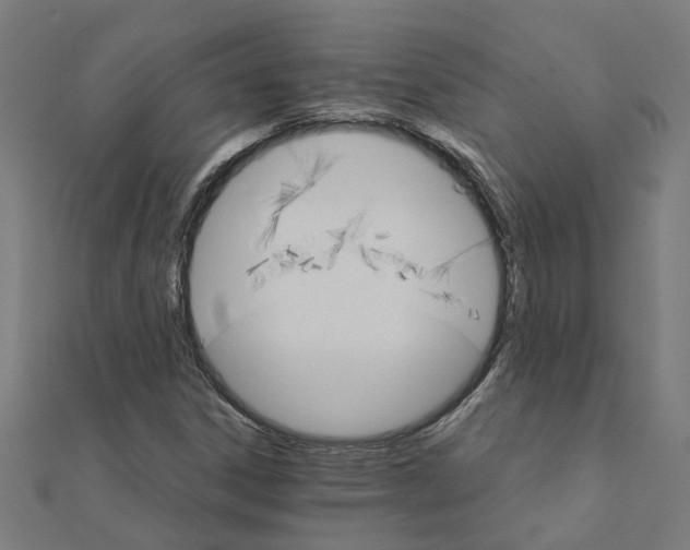 X0000111231306200907301238