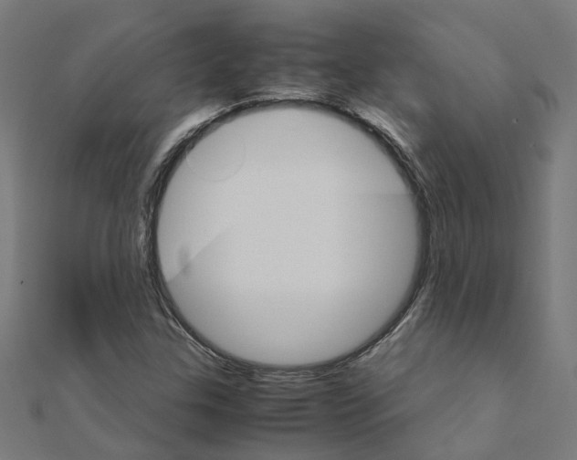 X0000111231307200907301238