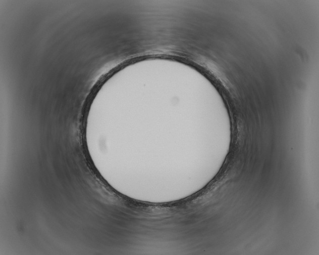 X0000111231308200907301238