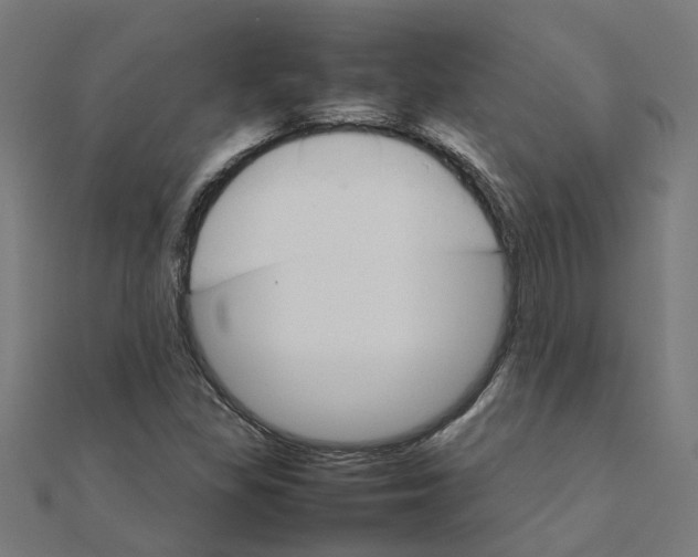 X0000111231309200907301238