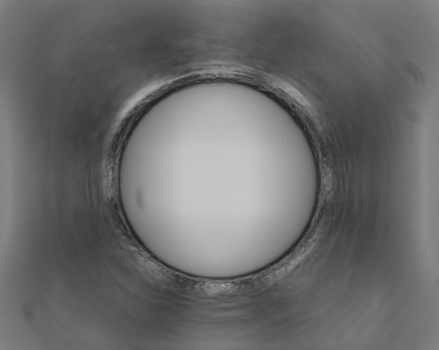 X0000111231310200907301238