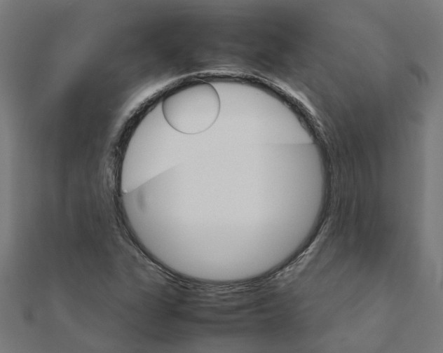 X0000111231311200907301238