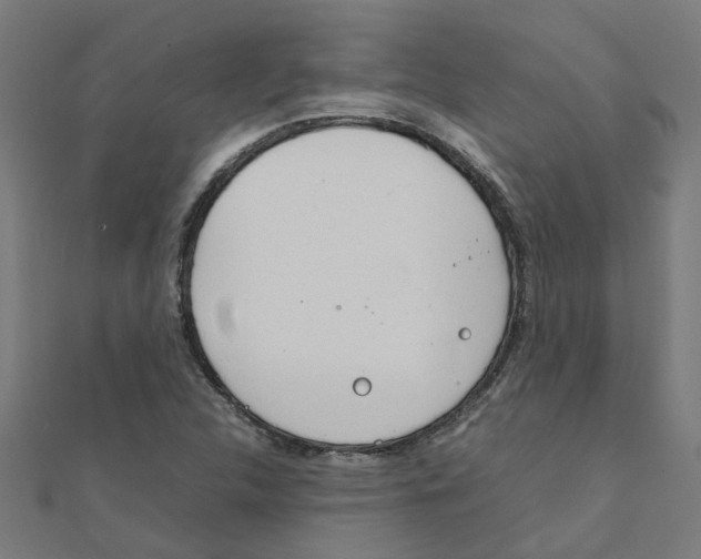 X0000111231312200907301238