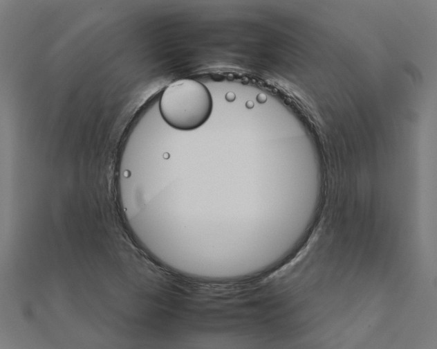 X0000111231313200907301238