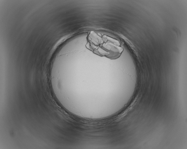 X0000111231314200907301238