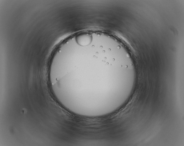 X0000111231315200907301238