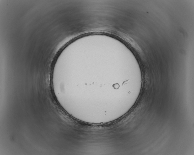 X0000111231316200907301238