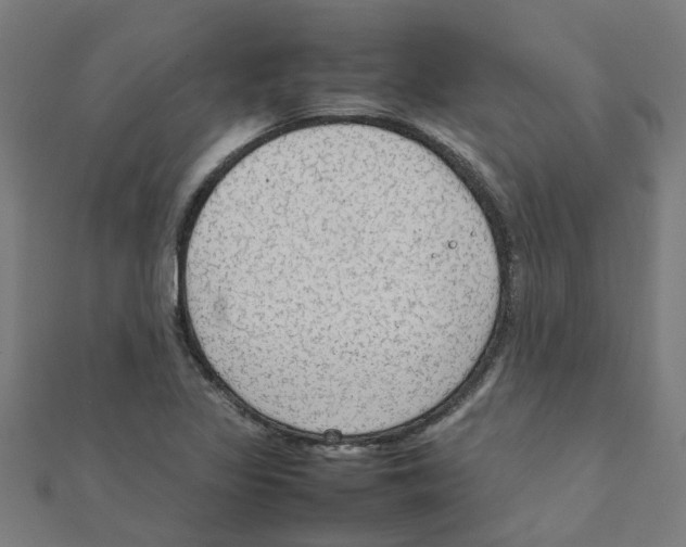 X0000111231317200907301238