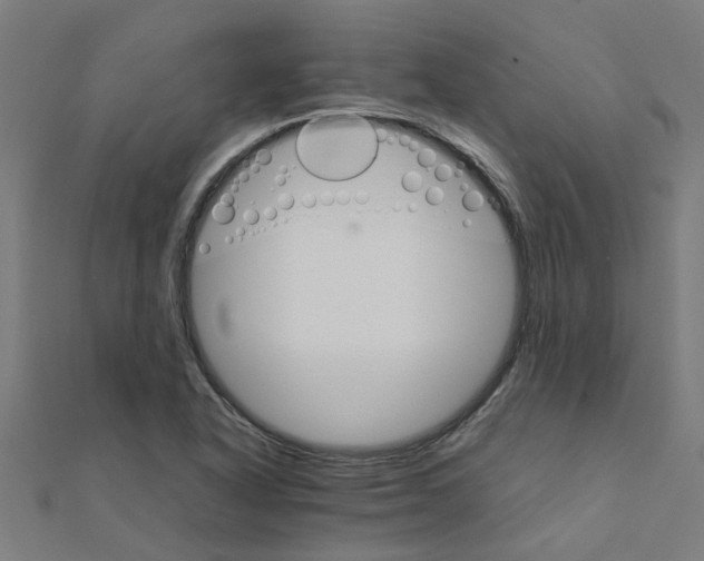 X0000111231318200907301238