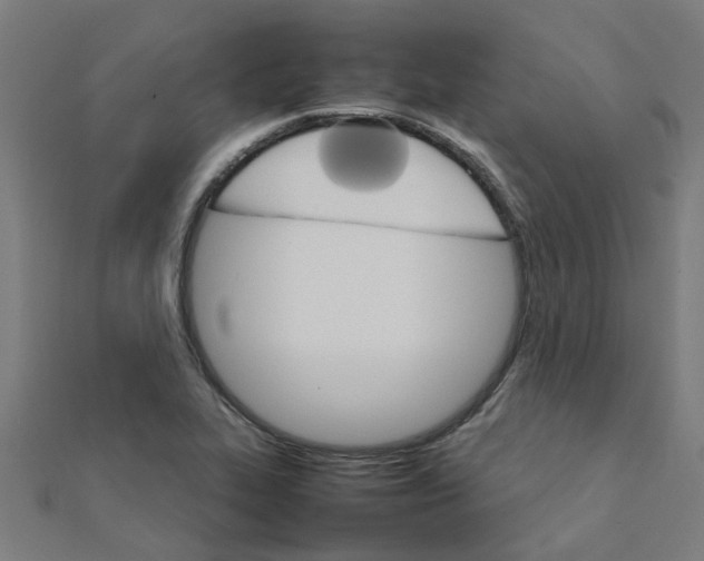 X0000111231319200907301238