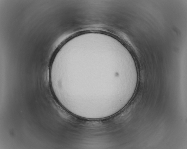 X0000111231320200907301238