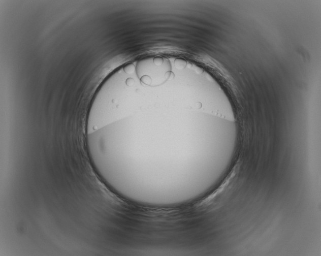 X0000111231321200907301238