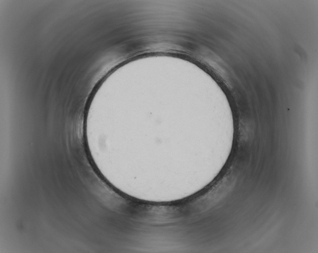 X0000111231322200907301238