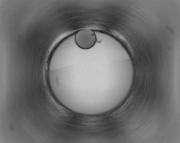 X0000111231323200907301238