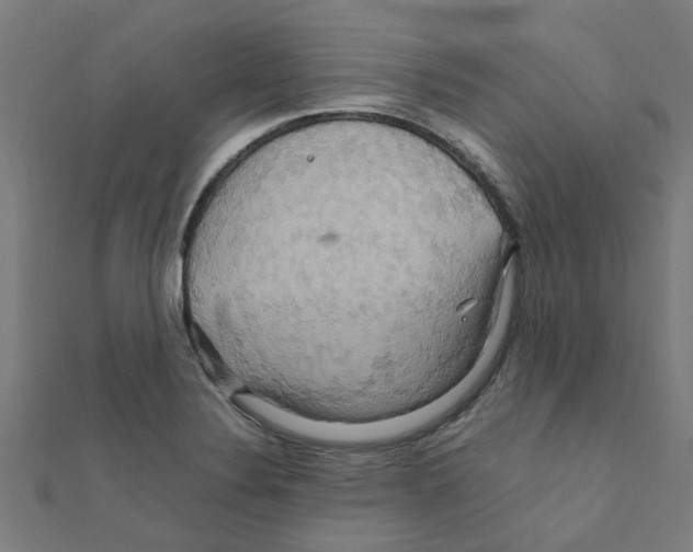 X0000111231324200907301238