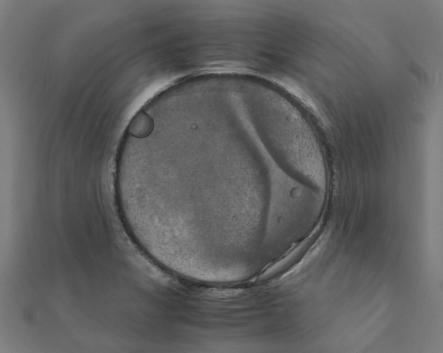 X0000111231325200907301238