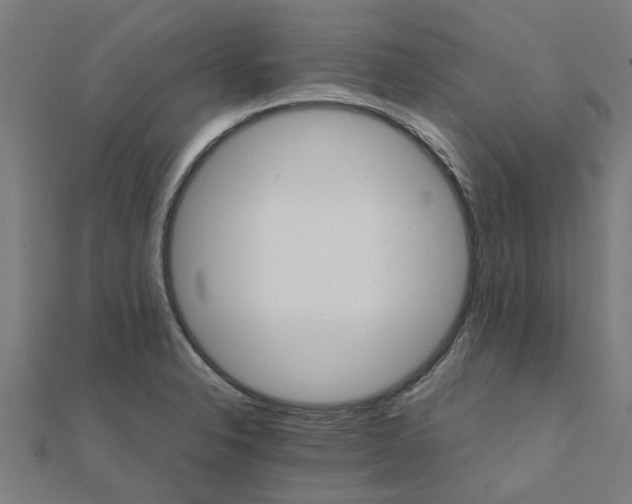 X0000111231326200907301238