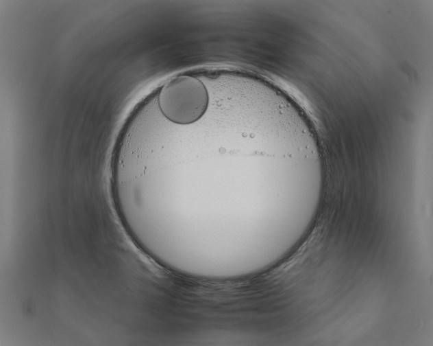 X0000111231327200907301238