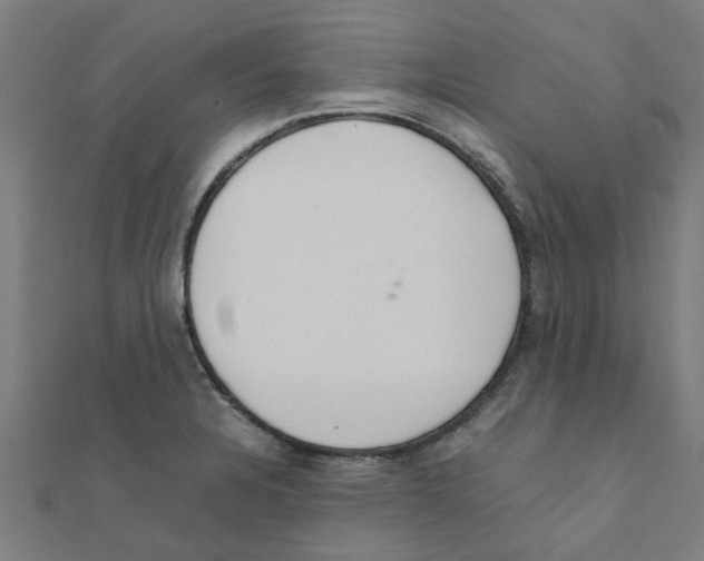 X0000111231328200907301238