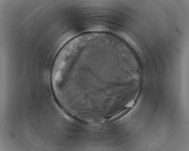 X0000111231329200907301238