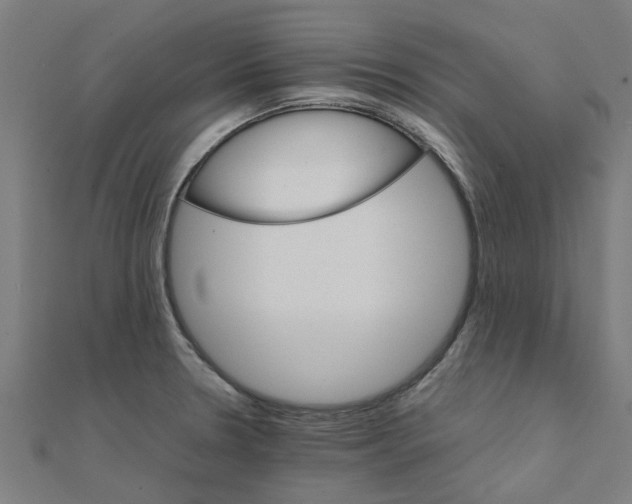 X0000111231330200907301238