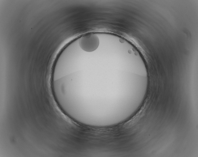 X0000111231331200907301238