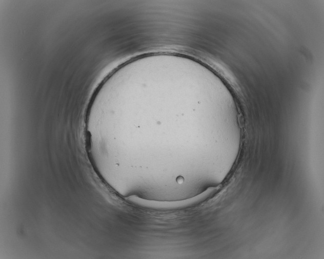 X0000111231332200907301238