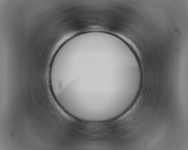 X0000111231333200907301238