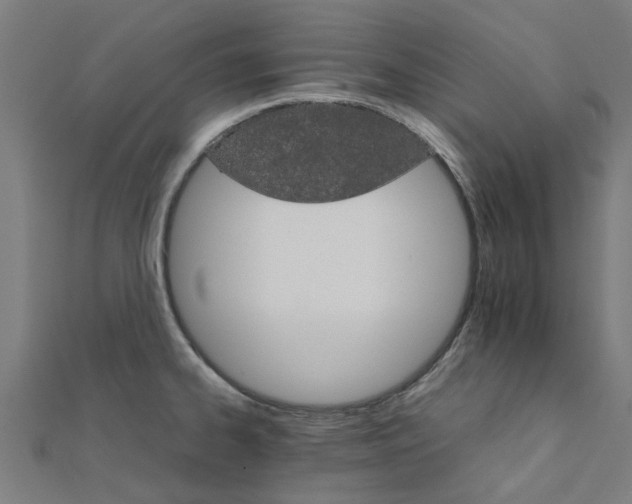 X0000111231334200907301238