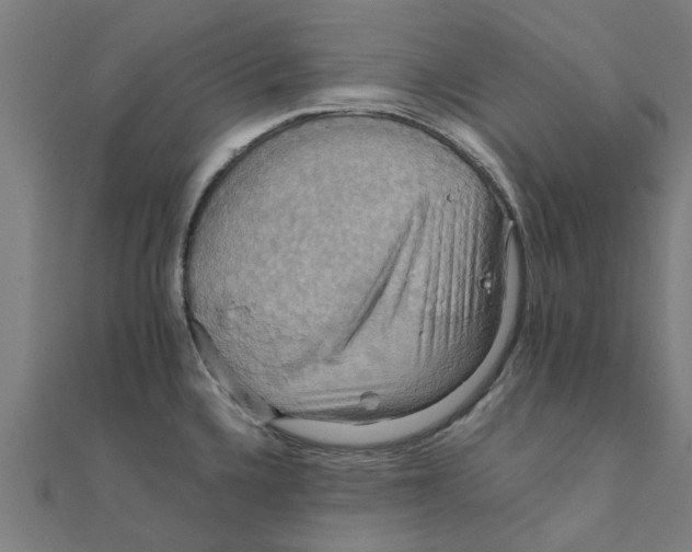 X0000111231336200907301238